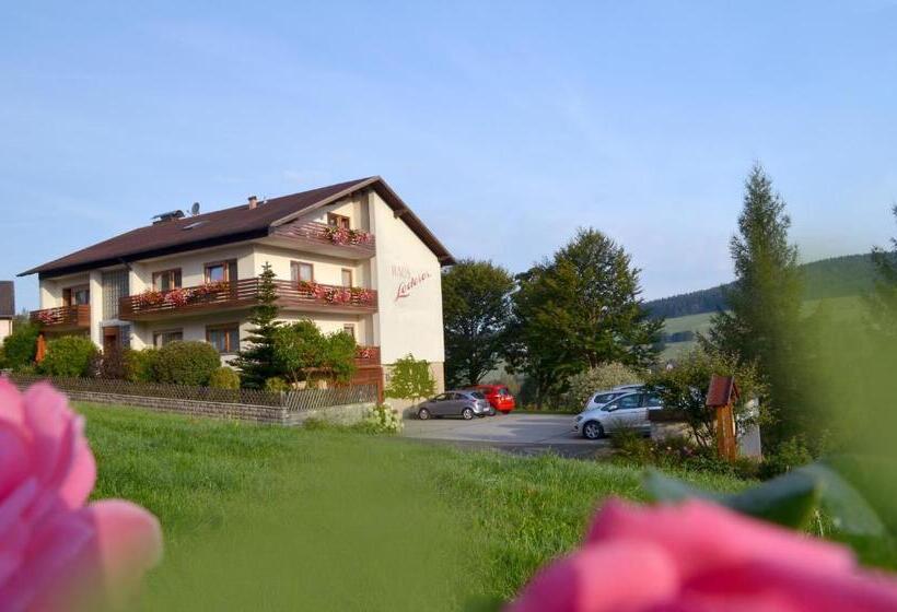 Номер Стандарт Индивидуальный, Landhaus Lederer