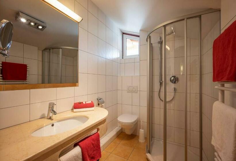 Номер Стандарт с Балконом, Alpenrose Hotel Garni