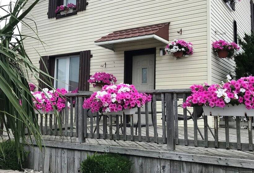3间卧室的房子, Country Inn Listowel