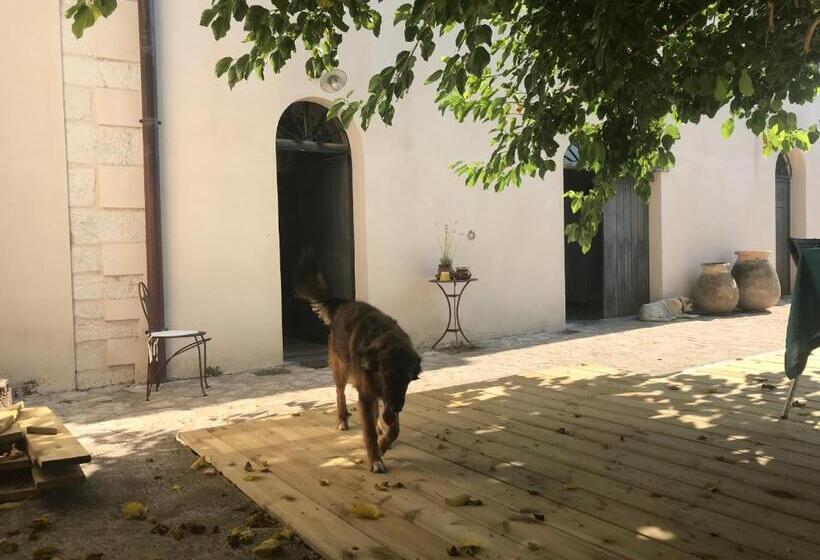 Дом 1 Спальня, A Loghja Di Cavallo Morto
