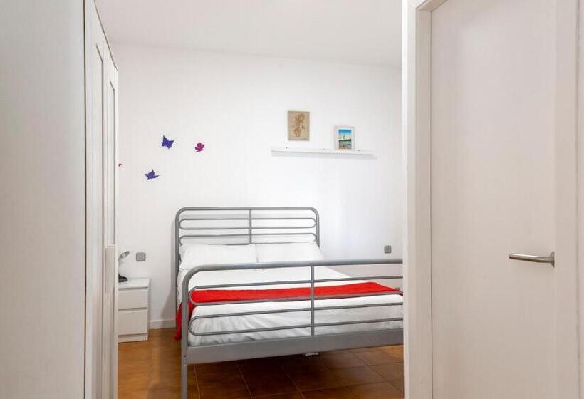 اتاق استاندارد, Monrooms Barcelona