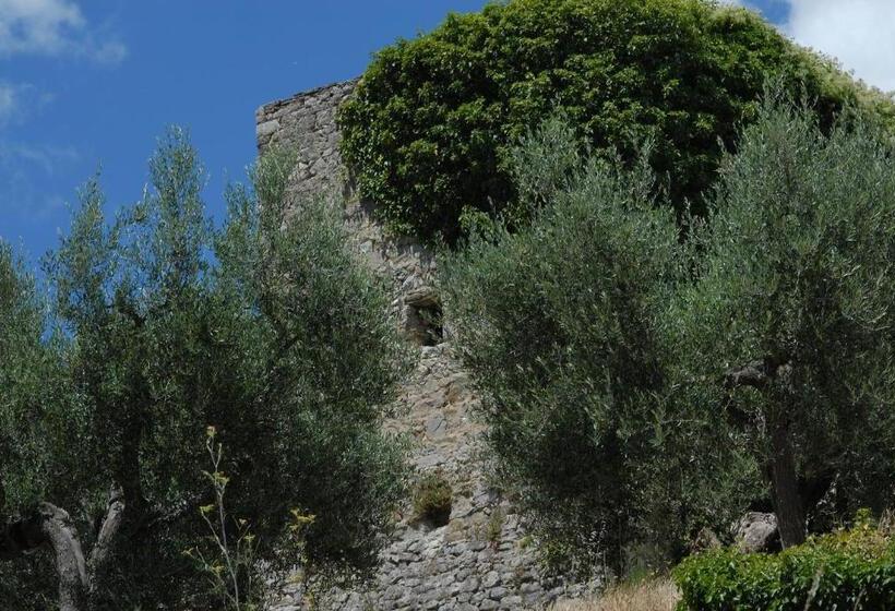 ４ベッドルームハウス, Castello Di Mongiovino