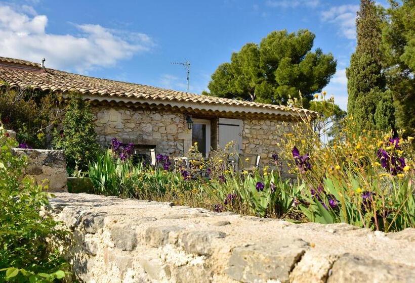 ３ベッドルームアパートメント, Domaine Du Mas Foucray