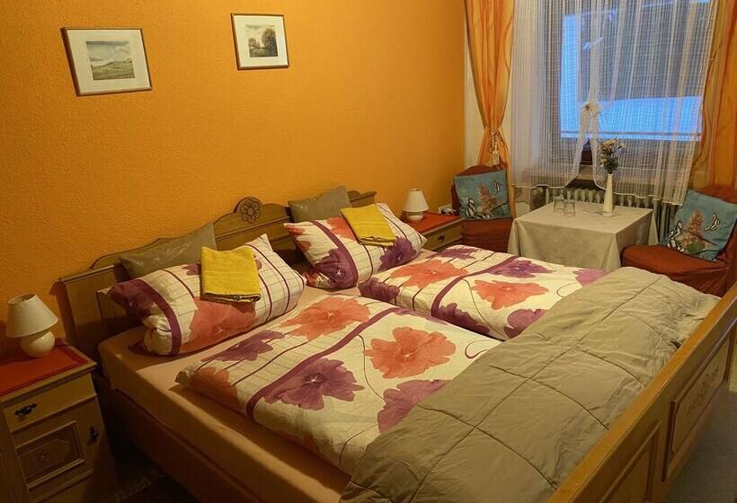 Номер Стандарт с Балконом, Pension Waldblick