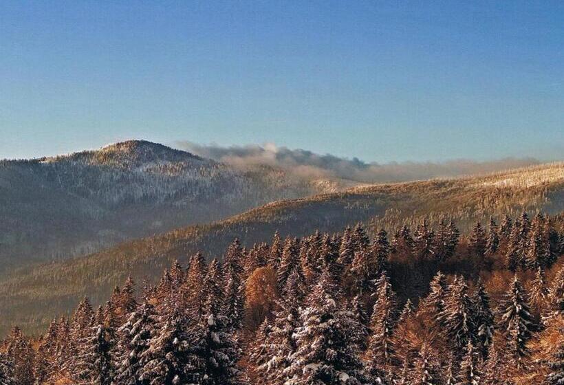 Номер Стандарт, Berggasthof Lusen