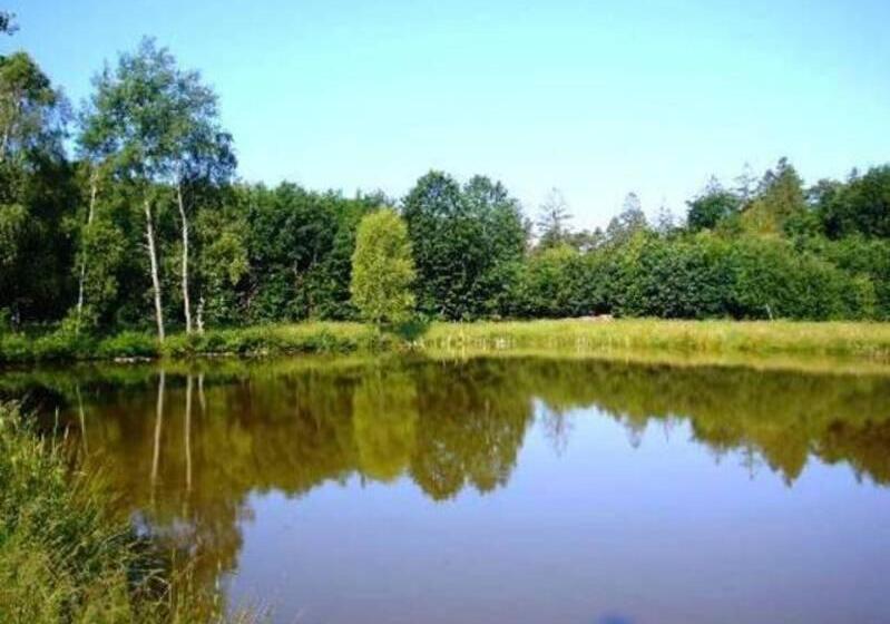 Номер Стандарт, Gasthaus Pension Zum Brandweiher