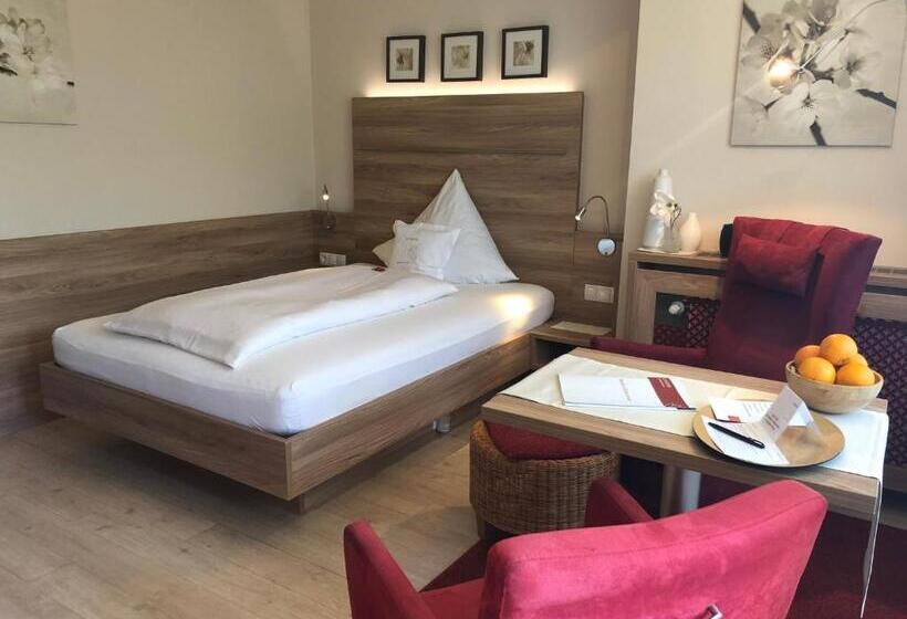 Номер Superior Одноместный, Aparthotel Christine