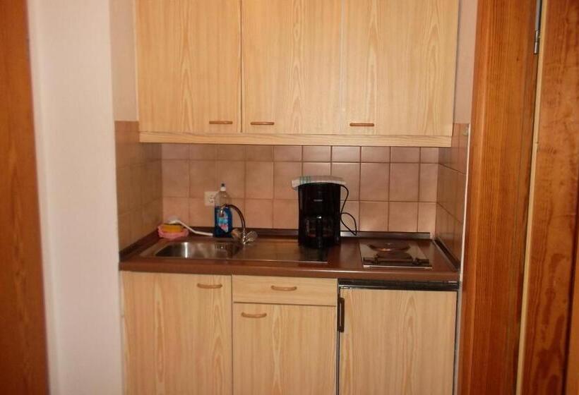 Апартаменты 1 Спальня с Балконом, Aparthotel Zwiesel