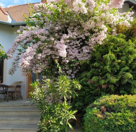 Номер Стандарт, Frutta Villa