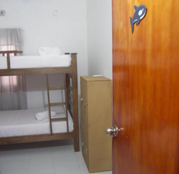 공동 객실, Hostal Palohe Taganga