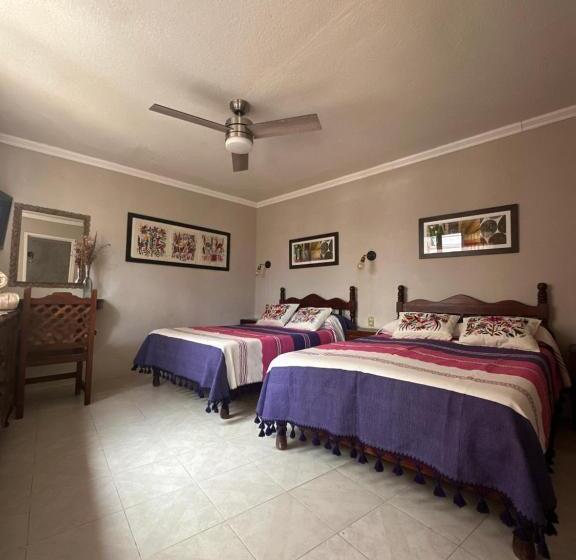 اتاق استاندارد چهار تخته, Casa Tecolote