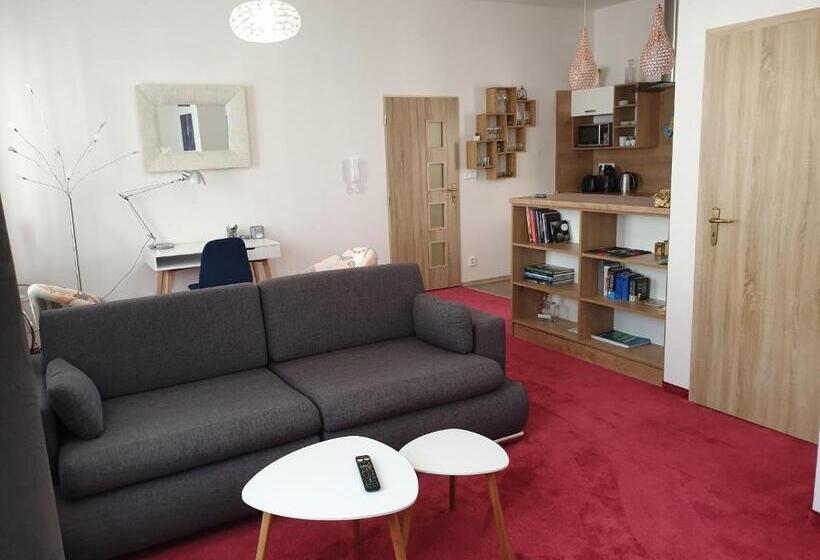 带1个卧室的公寓, Penzion Piano & Apartment Sokolov