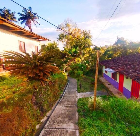 Семейный Номер, Hostal Casa Artvelez