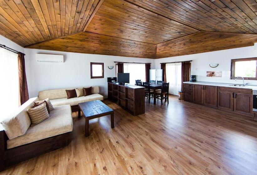 إستوديو سوبيريور, Guest House Ognyanovo