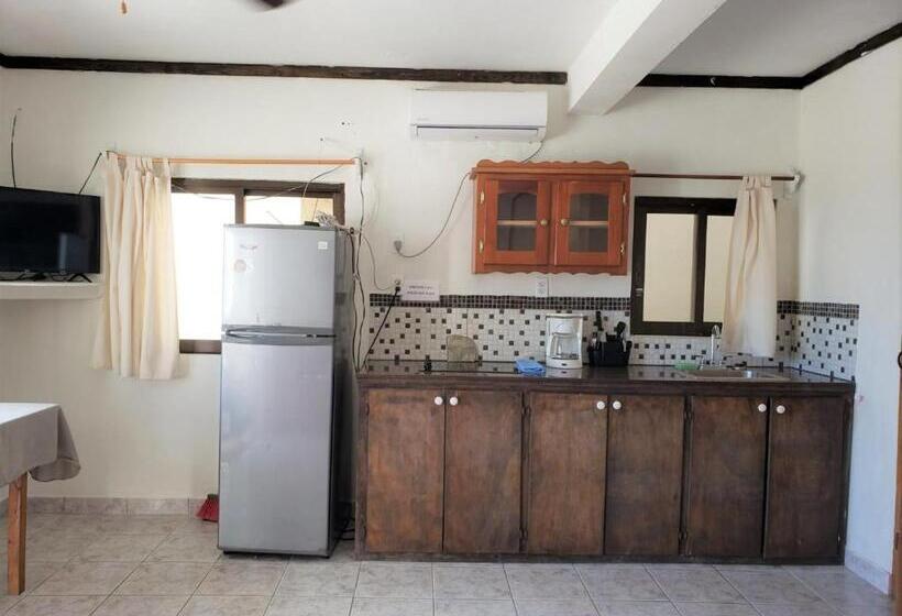 إستوديو قياسى مطل على البحر, Beach Side Condos Caye Caulker By Ccvh