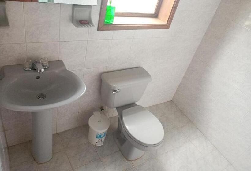 标准间, Hostal El Pino