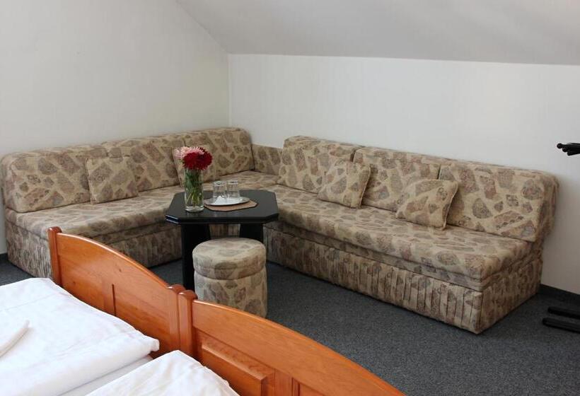 Номер Стандарт, Pension Najdek