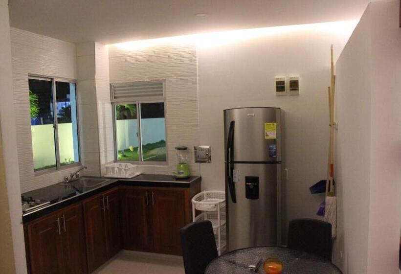 استودیوی استاندارد, Camino Palmero Coveñas