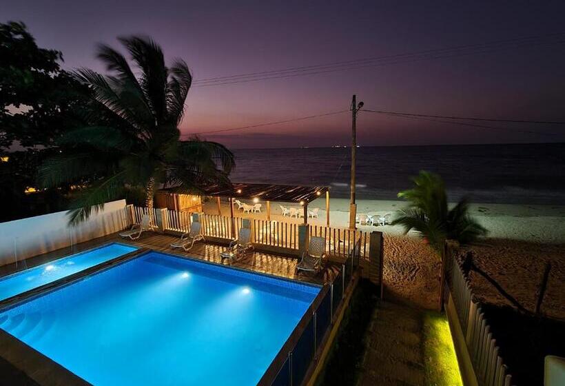 اتاق عادی, Camino Palmero Coveñas