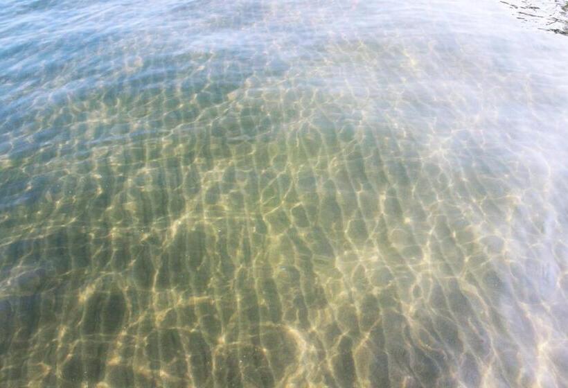 استودیوی استاندارد, Camino Palmero Coveñas