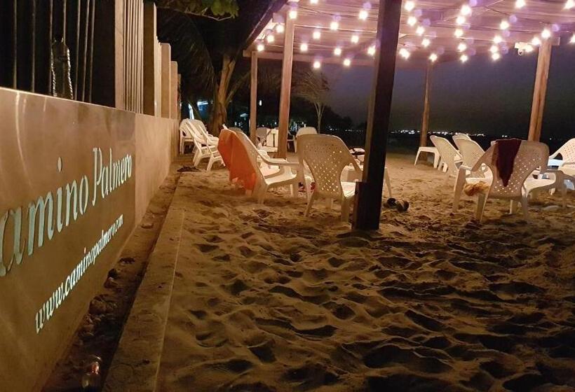 استودیوی استاندارد, Camino Palmero Coveñas