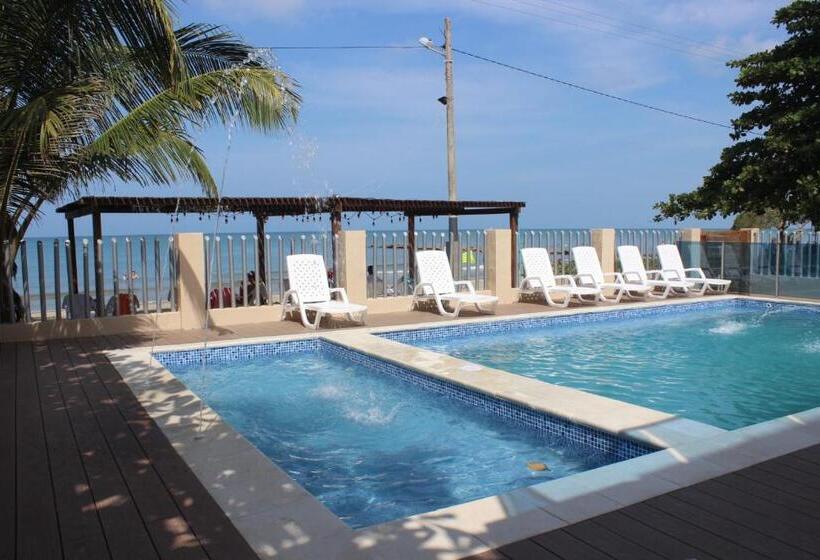 اتاق استاندارد, Camino Palmero Coveñas