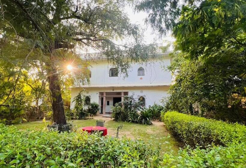 Номер Стандарт Трехместный, Kawa Guest House