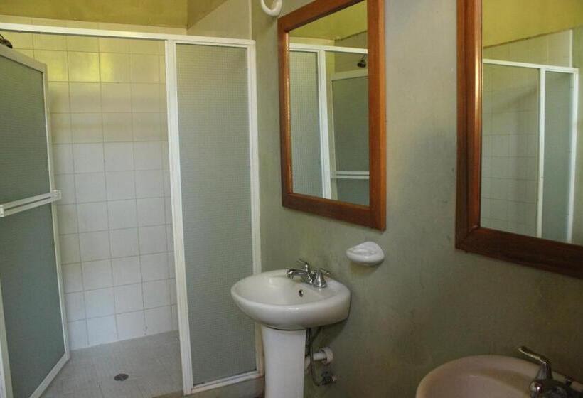 تختخواب در اتاق مشترک, Backpackers Inn