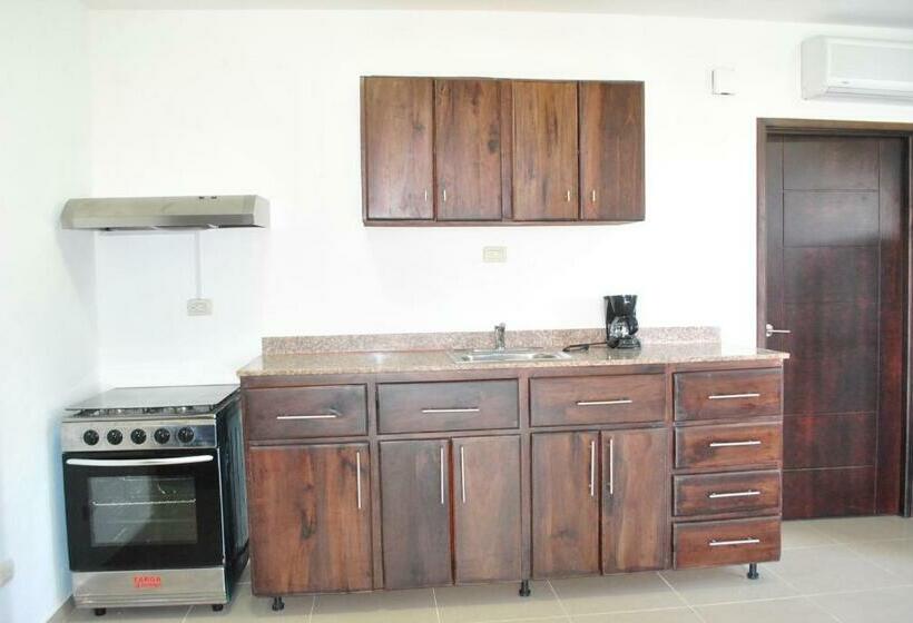 آپارتمان 1 خوابه با چشم‌انداز دریا, Vue Apartment