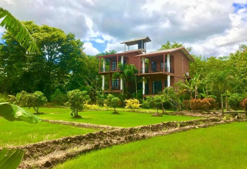 Семейный Номер Вид на Горы, Darshani Lodge