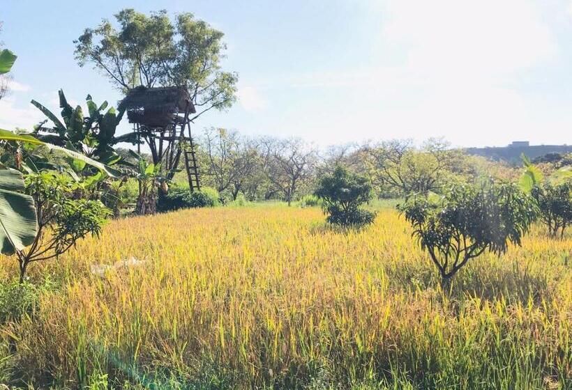 Номер Стандарт Трехместный, Darshani Lodge