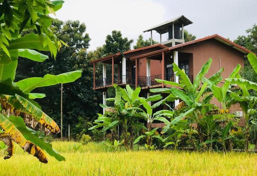 Номер Стандарт с Террасой, Darshani Lodge