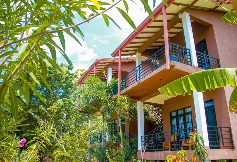Номер Стандарт Трехместный, Darshani Lodge
