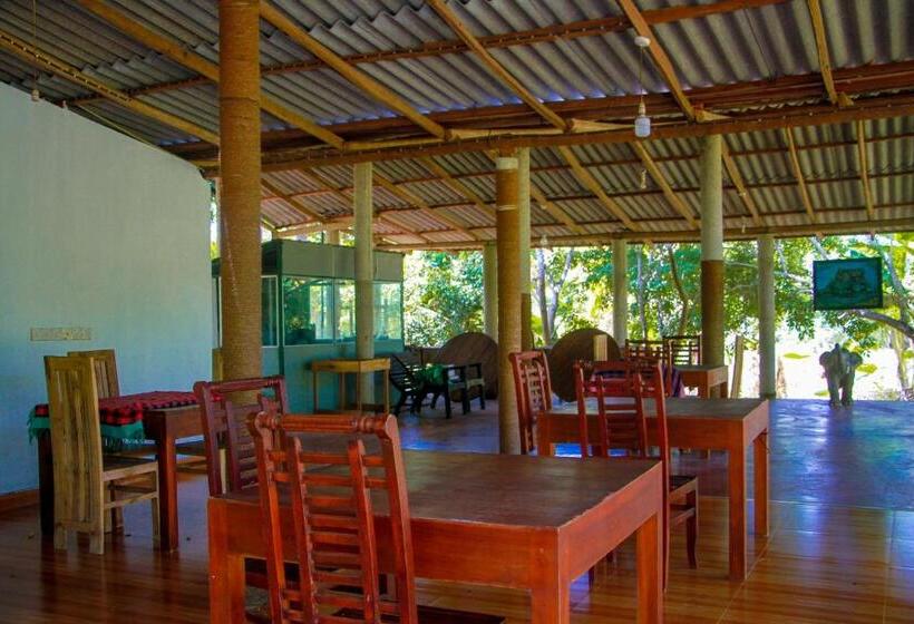 Номер Стандарт с Террасой, Darshani Lodge