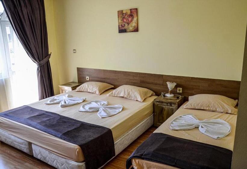 اتاق استاندارد سه تخته با بالکن, Edelvais Guest House