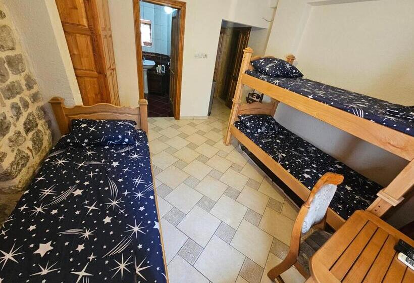 استودیوی استاندارد, Guest House šljuka