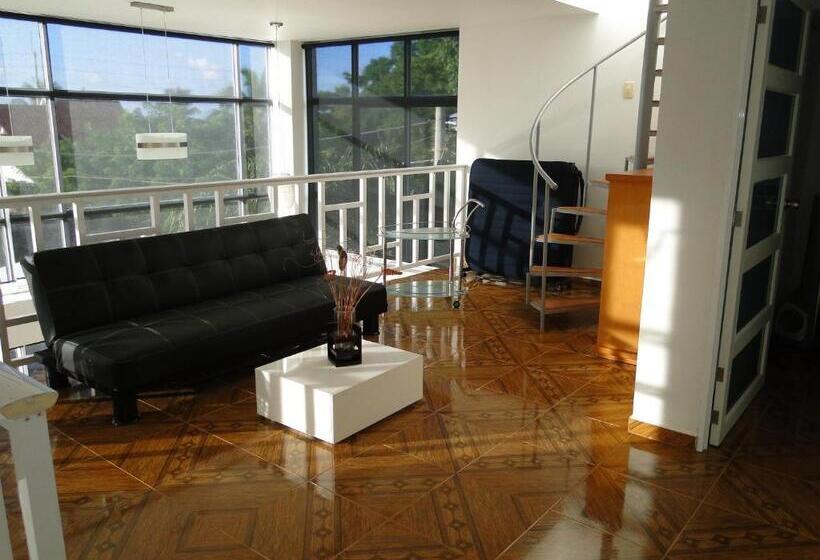 خانه 1 خوابه, Casa Loft