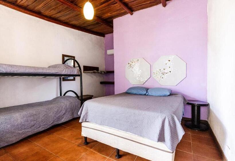 اتاق استاندارد چهار تخته, Hostel La Botella De Leche   Tamarindo