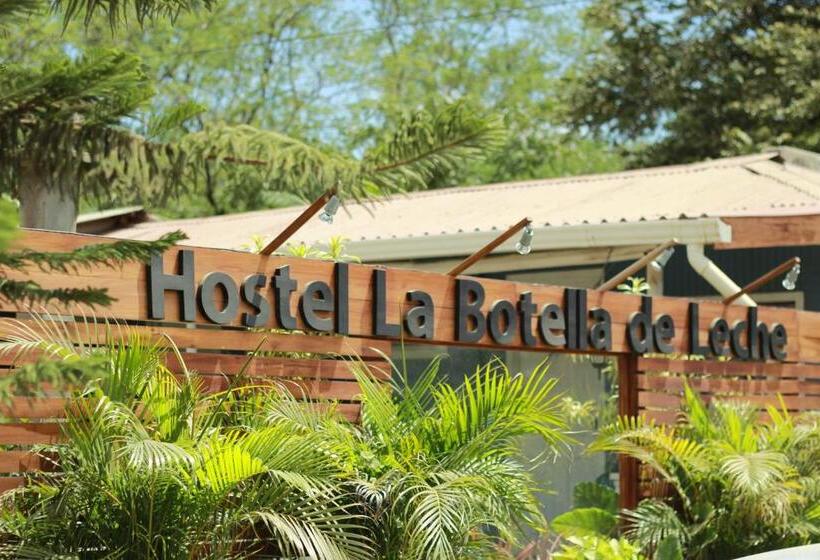 اتاق خانوادگی, Hostel La Botella De Leche   Tamarindo