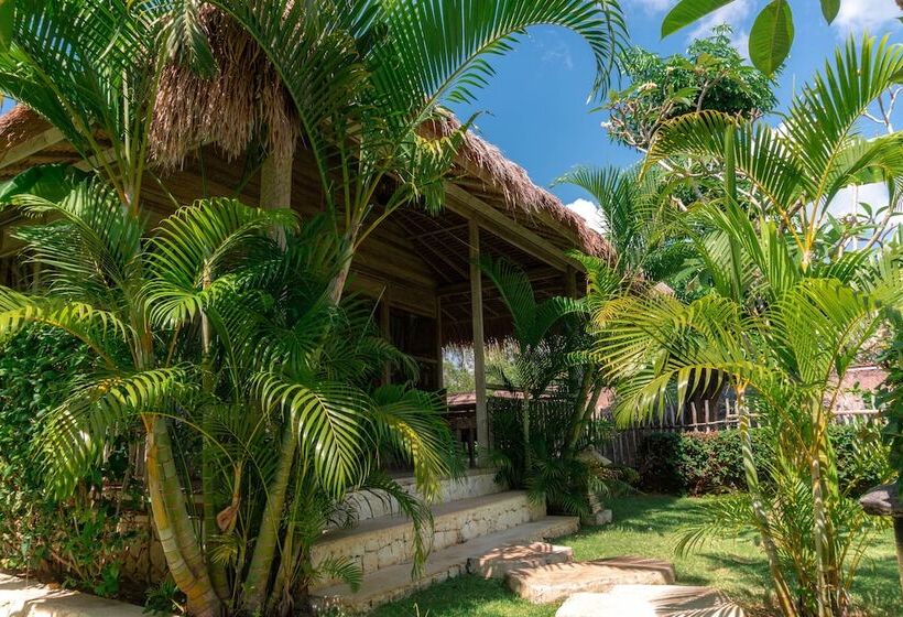 اتاق استاندارد, La Joya Biu Biu Resort