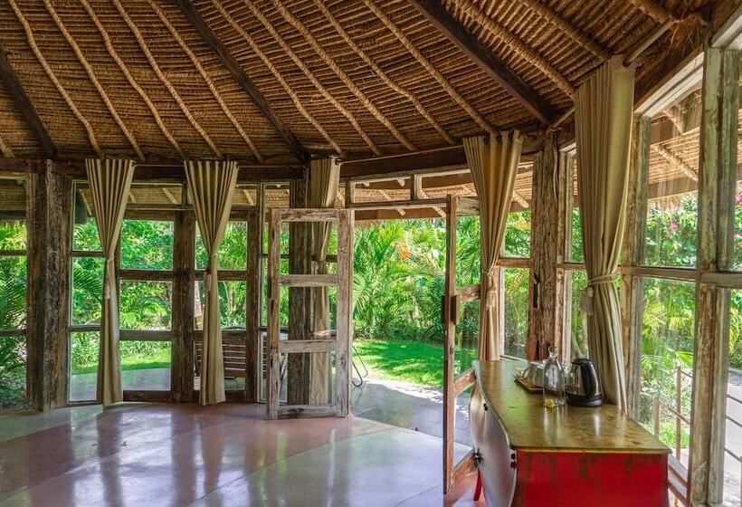 اتاق سوپریور, La Joya Biu Biu Resort