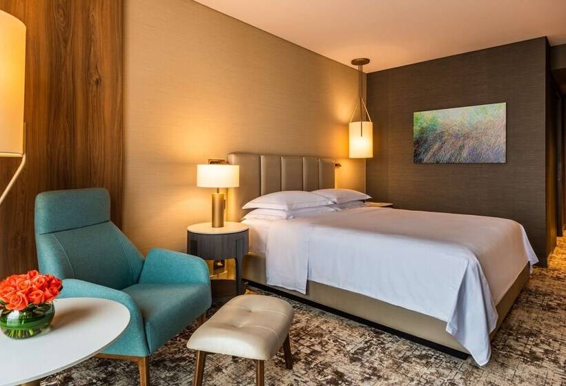 이그제큐티브 룸, Hilton Bogota Corferias
