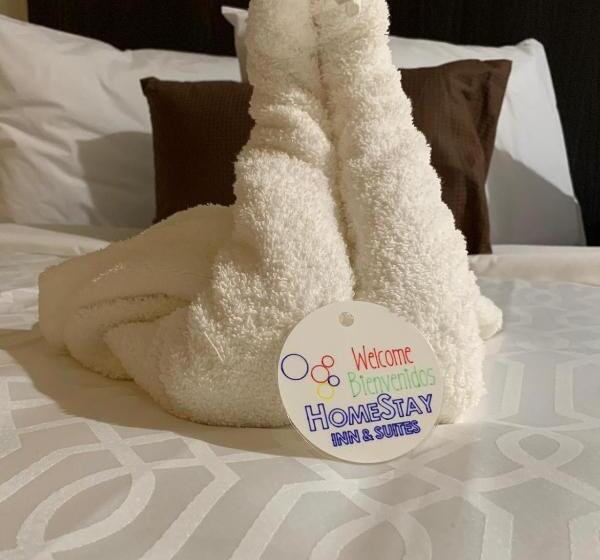 اتاق لوکس با تخت بزرگ, Homestay Inn & Suites Edinburg
