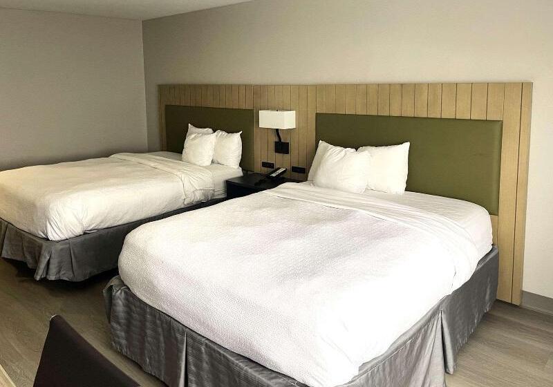 スタンダードルーム, Hostal Europa Punico