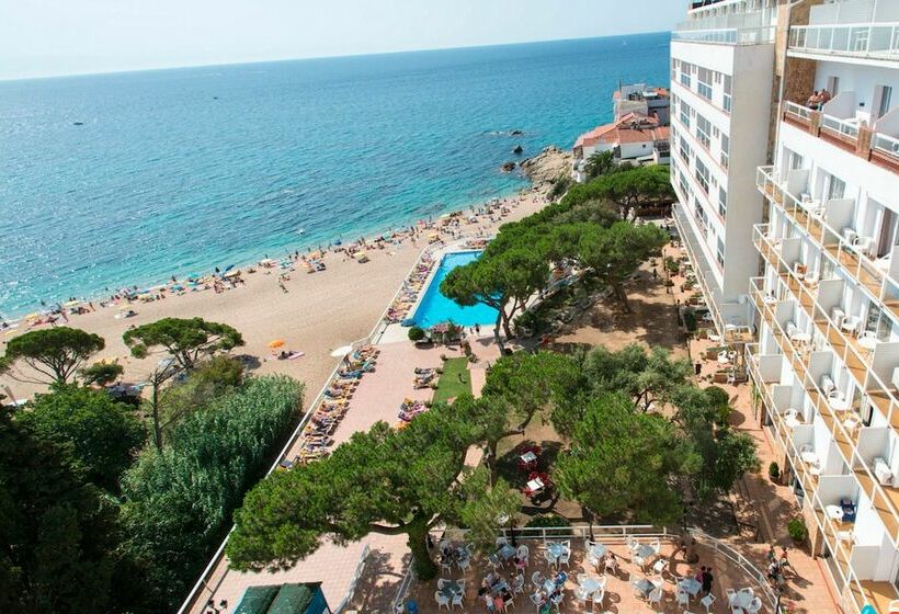 חדר סופריור לארבעה, htop Caleta Palace