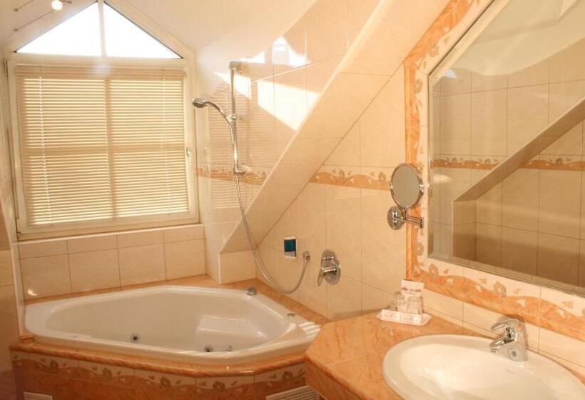 Люкс, Altstadthotel Mosser