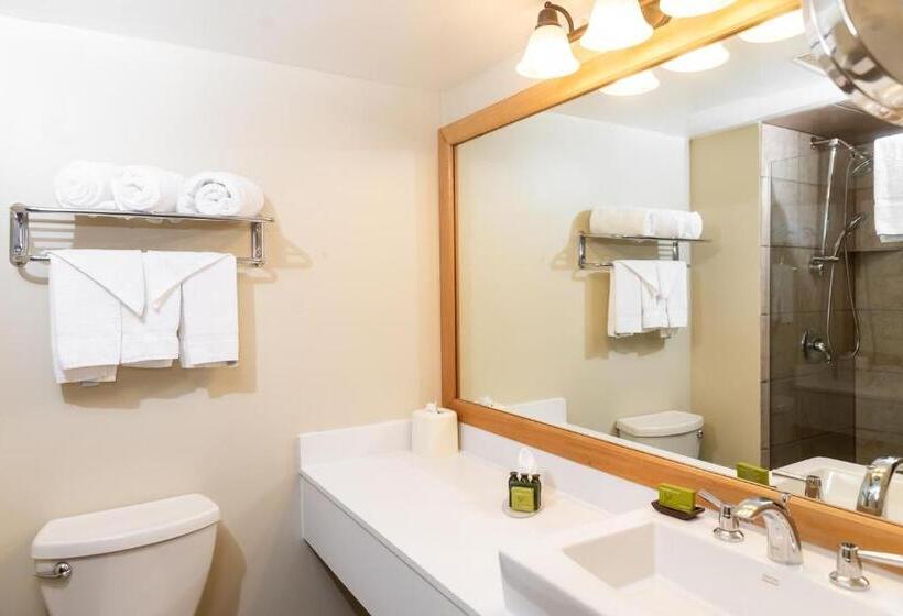 Номер Стандарт, Hidden Valley Resort, Ascend Hotel Collection