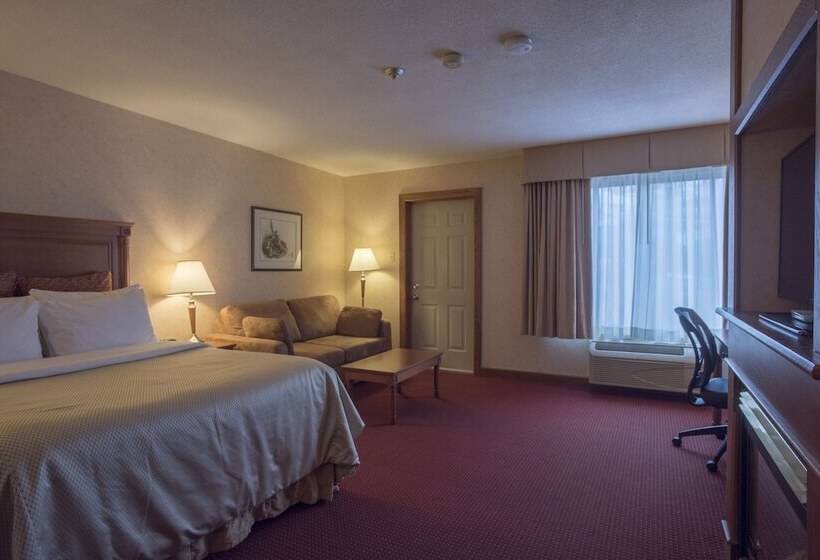 스탠다드 룸 더블 침대, Best Western Plus Otonabee Inn