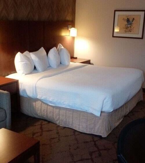 스탠다드 룸 더블 침대, Best Western Plus Otonabee Inn