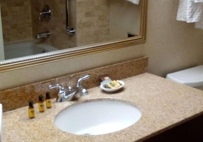 스탠다드 룸 킹사이즈 침대, Best Western Plus Otonabee Inn